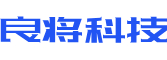 舒城县软件开发公司